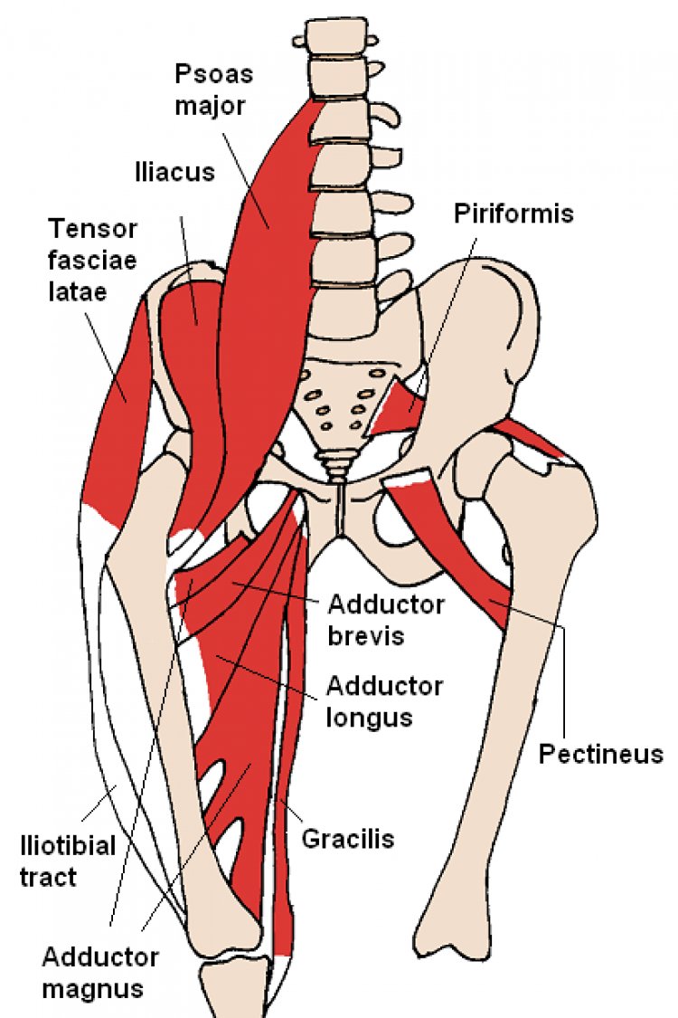 Adductor Side Plank